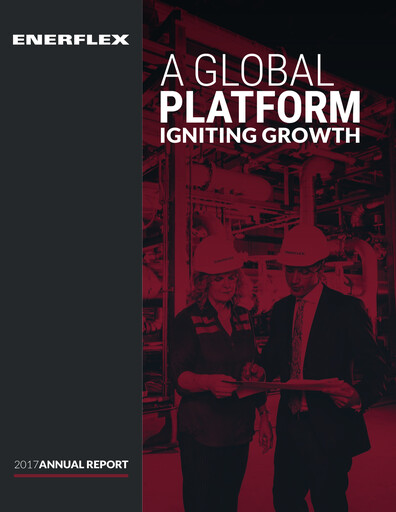 Miniature Enerflex Rapport annuel 2017