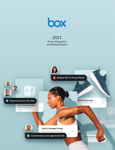 Miniature Box, Inc. Rapport annuel 2021