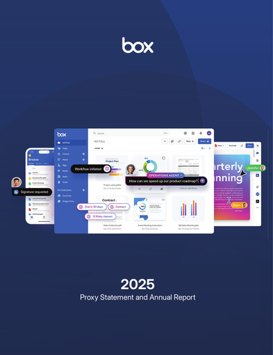 Miniature Box, Inc. Rapport annuel 2025