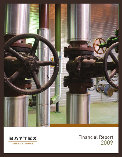 Thumbnail Baytex Energy
 Financial Statement 2009
