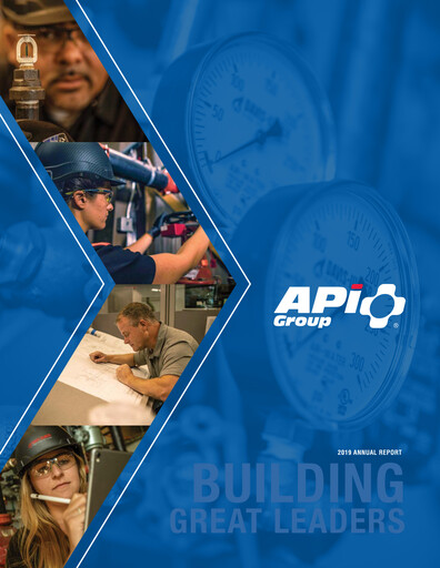Thumbnail APi Group Annual Report 2019