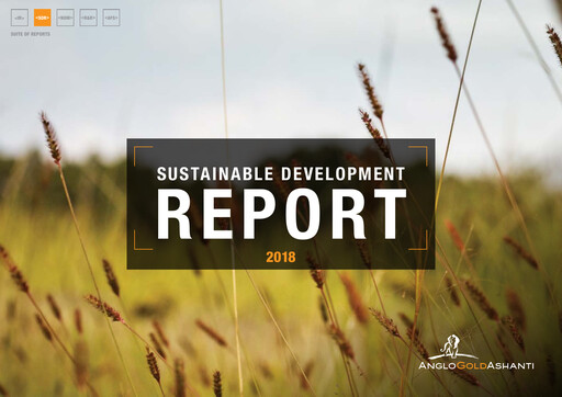 Thumbnail AngloGold Ashanti
 Sustainability Report 2018