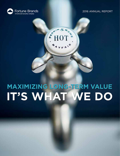 Miniature Fortune Brands Innovations Rapport annuel 2016
