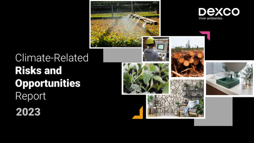 Miniature Dexco Rapport ESG 2023