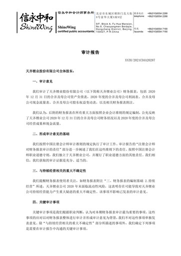 Thumbnail Tianqi Lithium Financial Statement 2020
