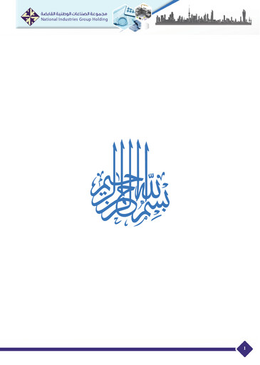 Miniature National Industries Group Holding Rapport annuel 2017