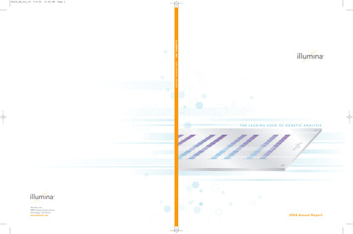 Thumbnail illumin Annual Report 2004