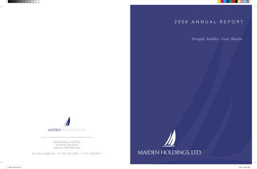 Miniature Fidelis Insurance Rapport annuel 2008