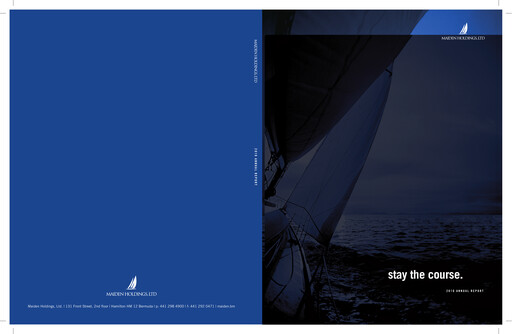 Miniature Fidelis Insurance Rapport annuel 2010