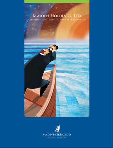 Miniature Fidelis Insurance Rapport annuel 2013