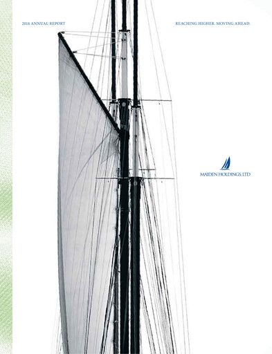 Miniature Fidelis Insurance Rapport annuel 2014