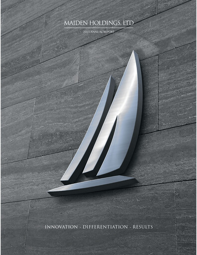 Miniature Fidelis Insurance Rapport annuel 2015