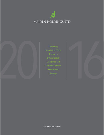 Miniature Fidelis Insurance Rapport annuel 2016