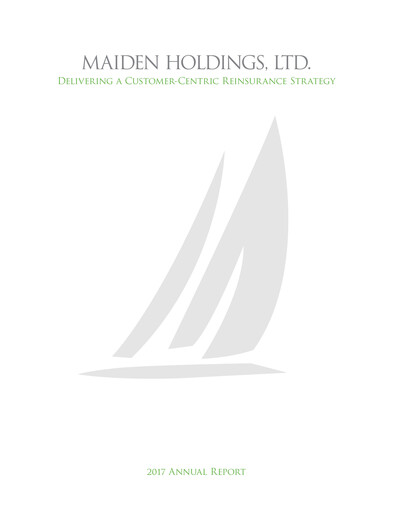 Miniature Fidelis Insurance Rapport annuel 2017