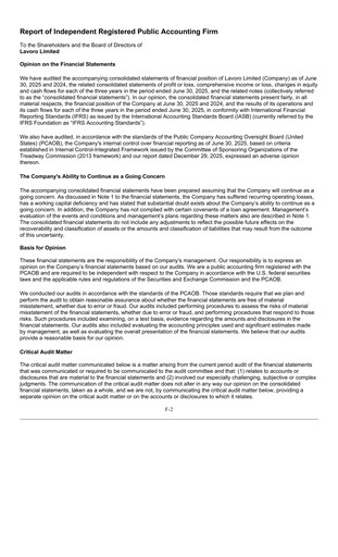 Thumbnail Lavoro Financial Statement 2025