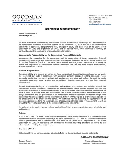 Thumbnail Electrovaya Financial Statement fy2013