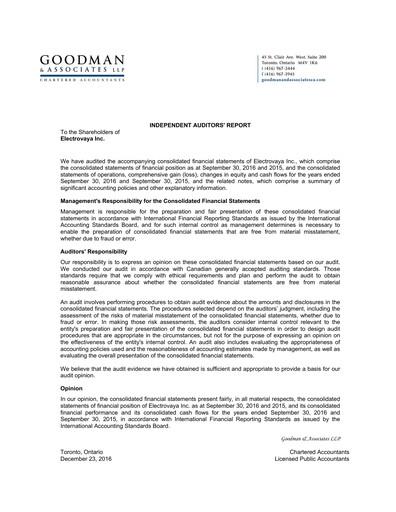 Thumbnail Electrovaya Financial Statement fy2016