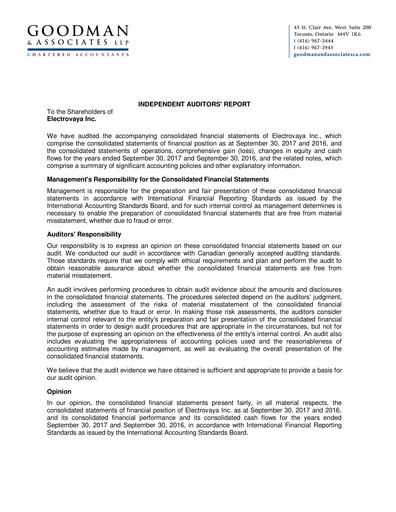 Thumbnail Electrovaya Financial Statement fy2017
