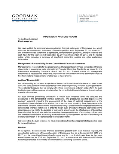 Thumbnail Electrovaya Financial Statement fy2018