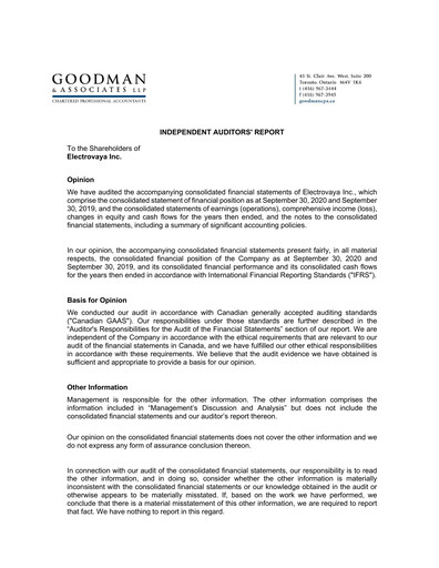 Thumbnail Electrovaya Financial Statement fy2020