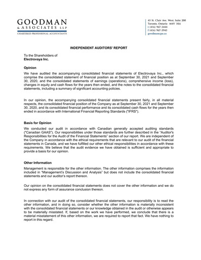 Thumbnail Electrovaya Financial Statement fy2021