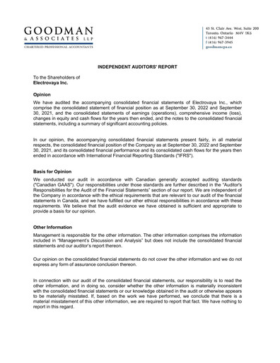 Thumbnail Electrovaya Financial Statement fy2022