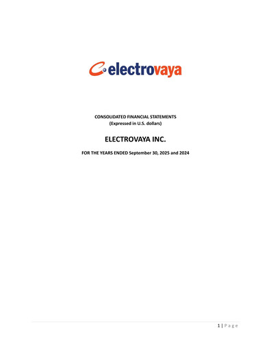 Thumbnail Electrovaya Financial Statement fy2025
