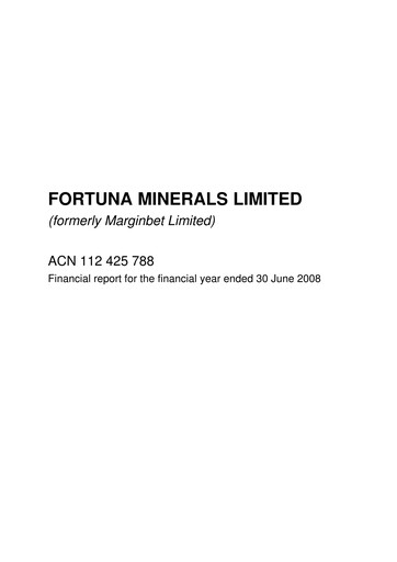 Thumbnail Pilbara Minerals Financial Statement fy2008