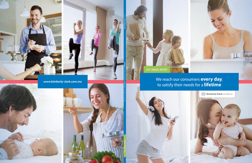 Miniature Kimberly-Clark de México Rapport annuel 2017