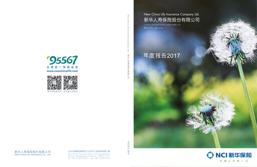 Miniature New China Life Insurance
 Rapport annuel 2017