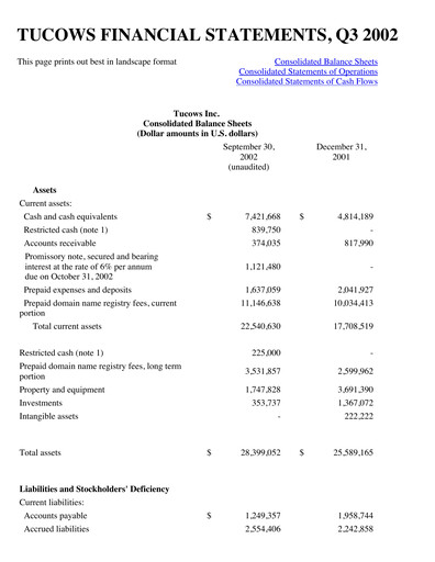 Thumbnail Tucows Financial Statement 2002-9m