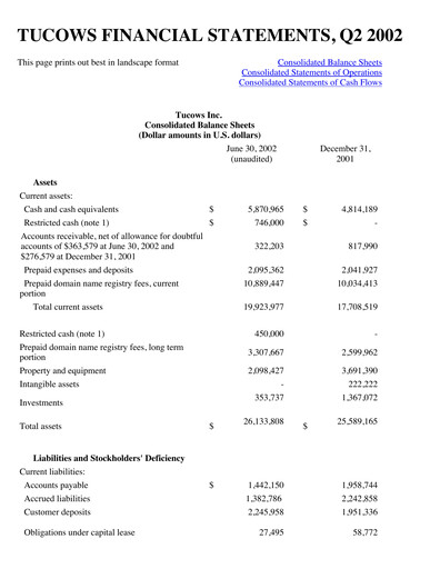 Thumbnail Tucows Financial Statement 2002-h1