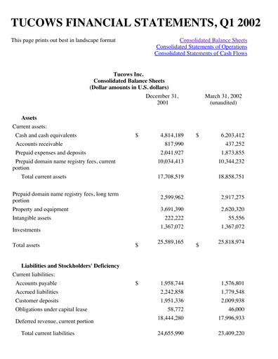 Thumbnail Tucows Financial Statement 2002-q1