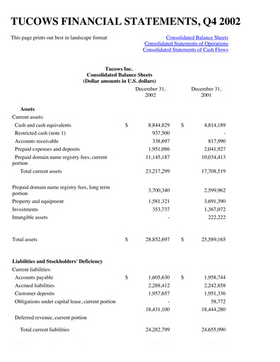 Thumbnail Tucows Financial Statement 2002