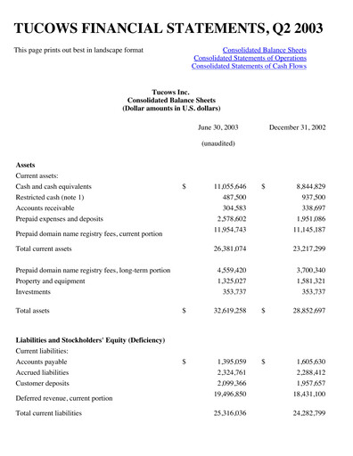 Thumbnail Tucows Financial Statement 2003-h1
