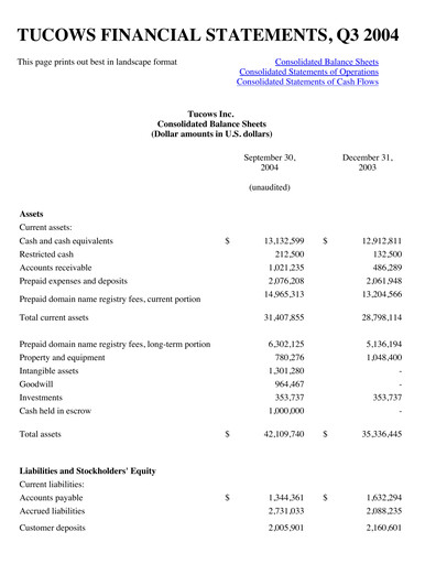 Thumbnail Tucows Financial Statement 2004-9m