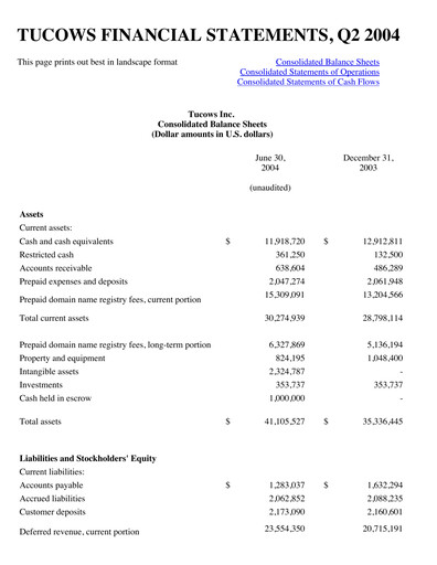 Thumbnail Tucows Financial Statement 2004-h1