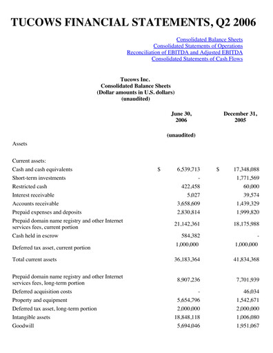Thumbnail Tucows Financial Statement 2006-h1