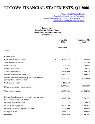Thumbnail Tucows Financial Statement 2006-q1