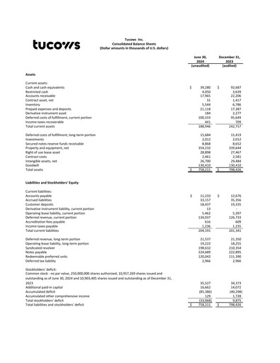 Thumbnail Tucows Financial Statement 2024-h1