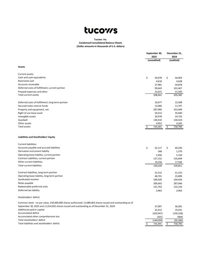 Thumbnail Tucows Financial Statement 2025-9m