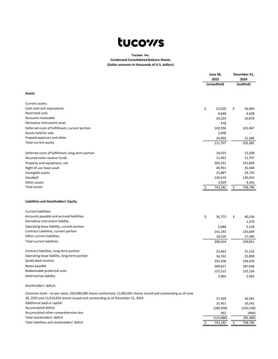 Thumbnail Tucows Financial Statement 2025-h1