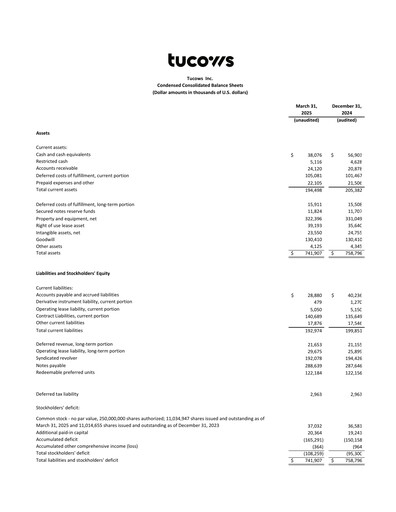 Thumbnail Tucows Financial Statement 2025-q1
