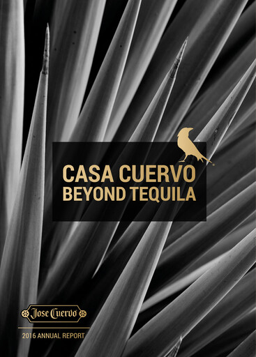 Thumbnail Becle Annual Report 2016