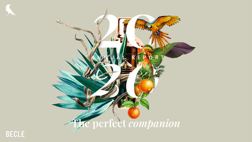 Thumbnail Becle Annual Report 2020