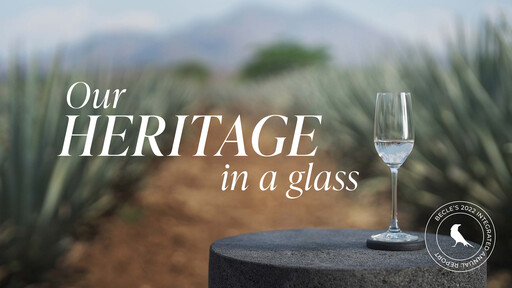 Thumbnail Becle Annual Report 2022