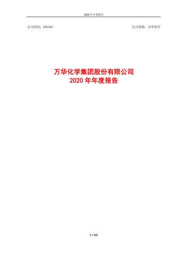 Miniature Wanhua Chemical Rapport annuel 2020