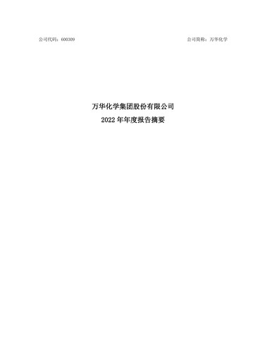 Miniature Wanhua Chemical Rapport annuel 2022