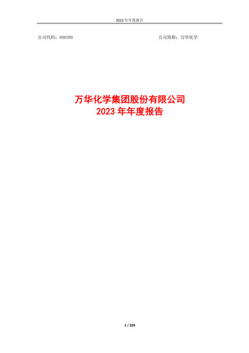 Miniature Wanhua Chemical Rapport annuel 2023