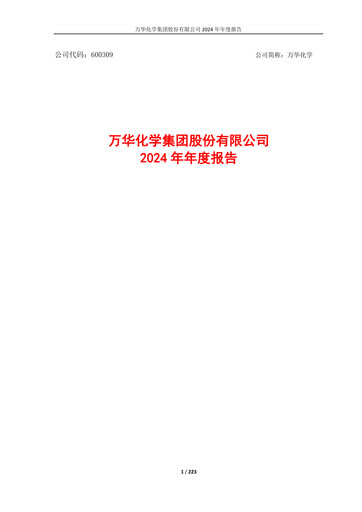 Miniature Wanhua Chemical Rapport annuel 2024